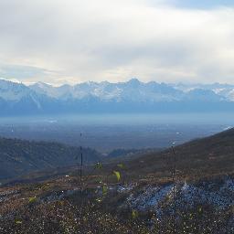 AlaskaAvis's profile picture. Living with ALS