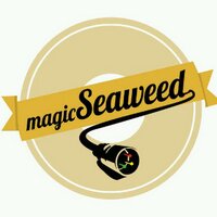 MAGIC SEAWEED (@magicseaweeds) 's Twitter Profile
