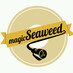MAGIC SEAWEED (@magicseaweeds) Twitter profile photo