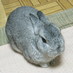 うさパラ☆🐇💕🎏大瀬良大地🏟️全力応援 (@usagidenpa) Twitter profile photo うさパラ☆🐇💕🎏大瀬良大地🏟️全力応援 (@usagidenpa) Twitter profile photo