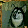 Be kind to all and love your Pets. Love the simple life that comes with all its luxuries.