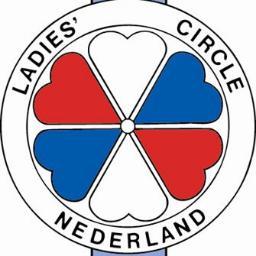 Having Fun, Friendship and Fundraising Groep jonge ondernemende vrouwen tot 45 jaar uit Epe en omgeving Motto: DURF
