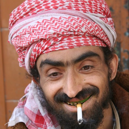 AllahAkhbar's profile picture. Retired terrorist, most famous for 9/11, compared to me Osama Bin Laden is a little bitch, currently employed at Taco Del Mar