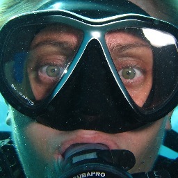 GiantCuttlefish's profile picture. One time onboard manager & dive guide for the best liveaboard in the Solomon Islands. Now just dreaming of the warm Solomon Seas & sumo. 大相撲が大好きです。