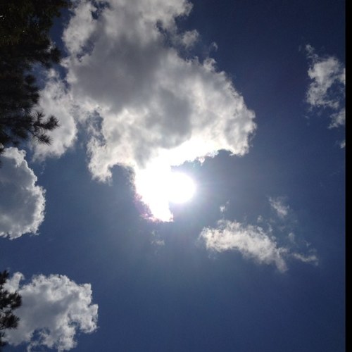 SLCrescent's profile picture. Gamer-castle addict-always reading-writing-i love cats-addicted to a good Vampire book-artist-and recent cook :) Let's be friends!