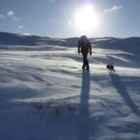 Andy Sykes (@andyjsykes) Twitter profile photo