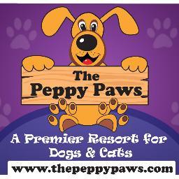 A premier pet resort in Pune. Cat hostel, dog hostel/boarding in Pune. Contact us now: 8805989128