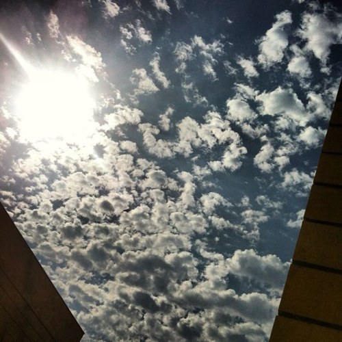 may_levi76's profile picture. להתנודד עם החיים