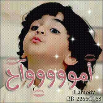 qan777771's profile picture. 