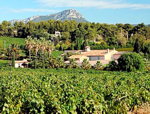 CIBONNE's profile picture. 