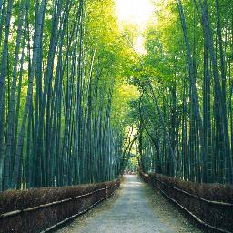 iguchizouen's profile picture. 静岡県沼津市の造園屋、 ㍿井口造園です！！ 各種お問合せはDMもしくは、オフィシャルサイトまでお気軽にどうぞ！