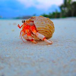 MacYouFun's profile picture. 