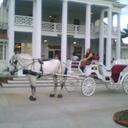 charlene casey - @ccdarlin - Twitter