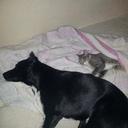 Karl Eddy Magnussen - @KMagnusse - Twitter