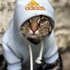 Мягкий и пушистый, Followback!!!
Взаимный Фолловинг-100%!!!  Антифолловинг-100%!!!