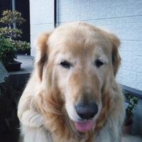 toshiyuki takemura (@nkmino) Twitter profile photo