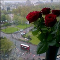 وردة (@s3oodalazm) Twitter profile photo