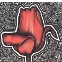 PetraHeebink's profile picture. 