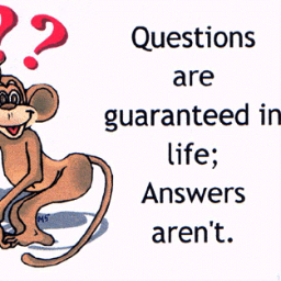 carloscrmcosta's profile picture. cycling enthusiast , technology addict