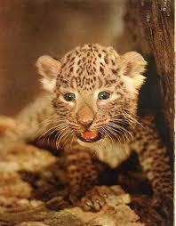 PonyMulticolor5's profile picture. 