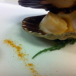 kustmat's profile picture. en kökschefs causae vitae i tweets