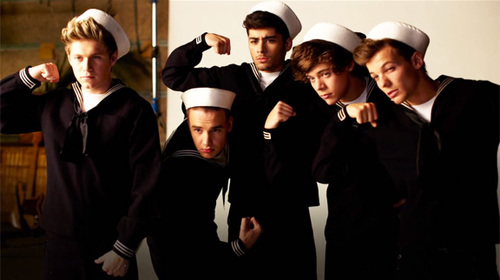 Directioner Promise  ಌ