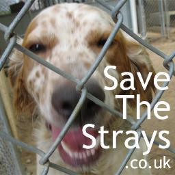 Save The Strays - helping raise awareness of stray dogs & stray dog euthanisation in the UK and encouraging people to donate & volunteer for animal rescues