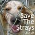 SaveTheStrays (@SaveTheStraysUK) Twitter profile photo