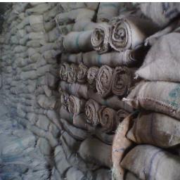 distributor  all size jute pp woven guny,you are interested     call me  +62 817307982  PIN BB 74300E82