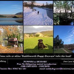 Dog Walking / Pet Care Services in and around Saddleworth area.