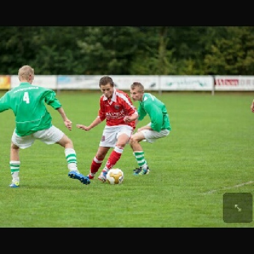 Sleen