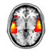 Peelle Lab (@peellelab) Twitter profile photo Peelle Lab (@peellelab) Twitter profile photo