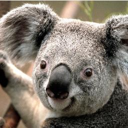 zoe44340715's profile picture. 