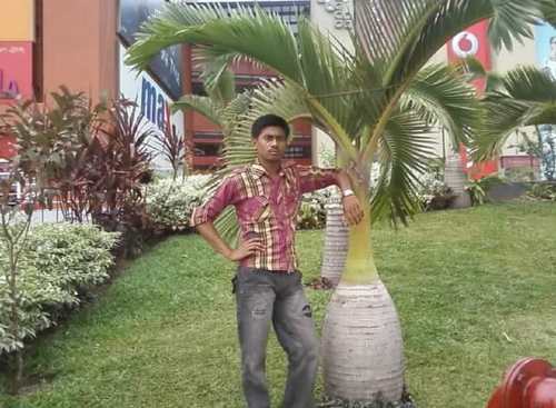 Student of Karimpur Pannadevi College