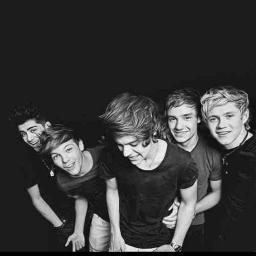 This is the official One Direction twitter account, just follow, and know more about our very own 1D! XX
#Directioners♥ Spread 1D Infection :D