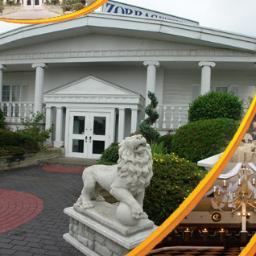 zorbaskingston's profile picture. 