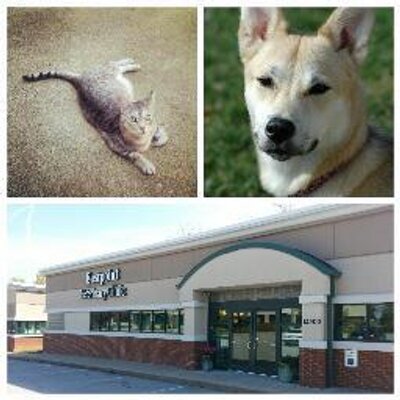 Eastpoint veterinary sale clinic