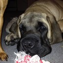 Robin Hardwick - @hardwick_robin - Twitter