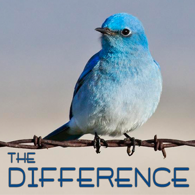 TheDiffChico's profile picture. https://t.co/L93rR39ai3 is a full-service online auction house based in Chico, CA. We assist companies & individuals with all types of liquidation.  20 years service