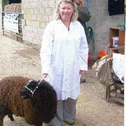 Hello, I'm Betty the Ewe. I live very happily at Fairlee Farm with my owner Julia. Lots happens here and I look forward to telling you about it.