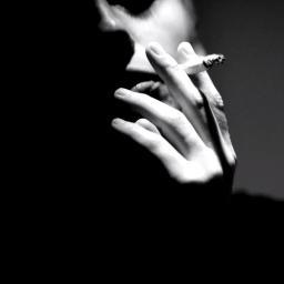 kalemkimde's profile picture. Bırak cehennem köpeğin olsun