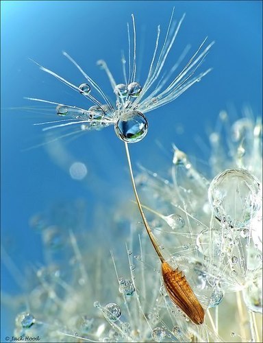 Just Keep Swimming ;)
