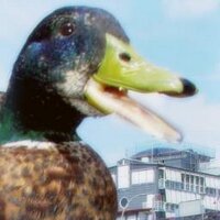 Peter von Fleet (@fleetschloss) Twitter profile photo