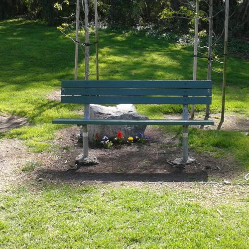 valhealing's profile picture. Licensed Massage Therapist, Personal Trainer in weights, Pilates, Tai Chi, Yoga, Senior Care, in the Brevard County Area of Florida