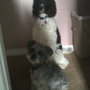 Edith Harris - @Garden_of_edith - Twitter