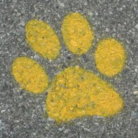 ESTUDIAR MEJOR (@estudiar_mejor) 's Twitter Profile Photo