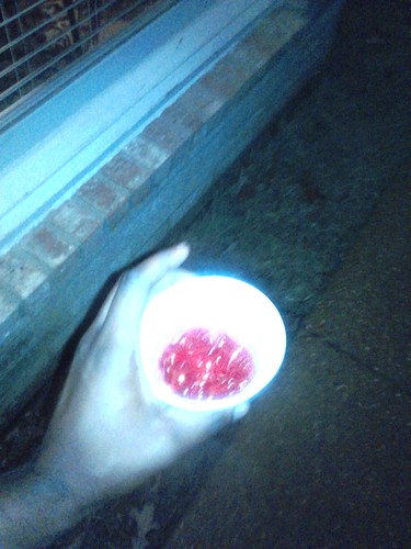 get rich or die trying blood