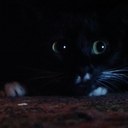 Florence Tom - @Florence_tomm - Twitter