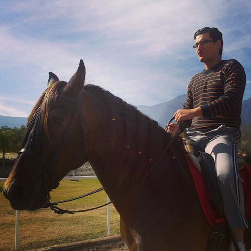 I love to ride horses