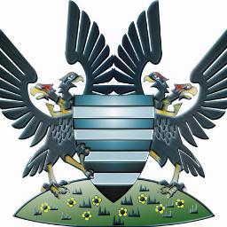 WhiteSaintO's profile picture. Salisbury Southampton Leyton Orient